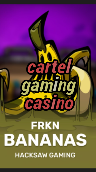 cartel gaming casino-3xn3u5udepyz9m9w5iat.com